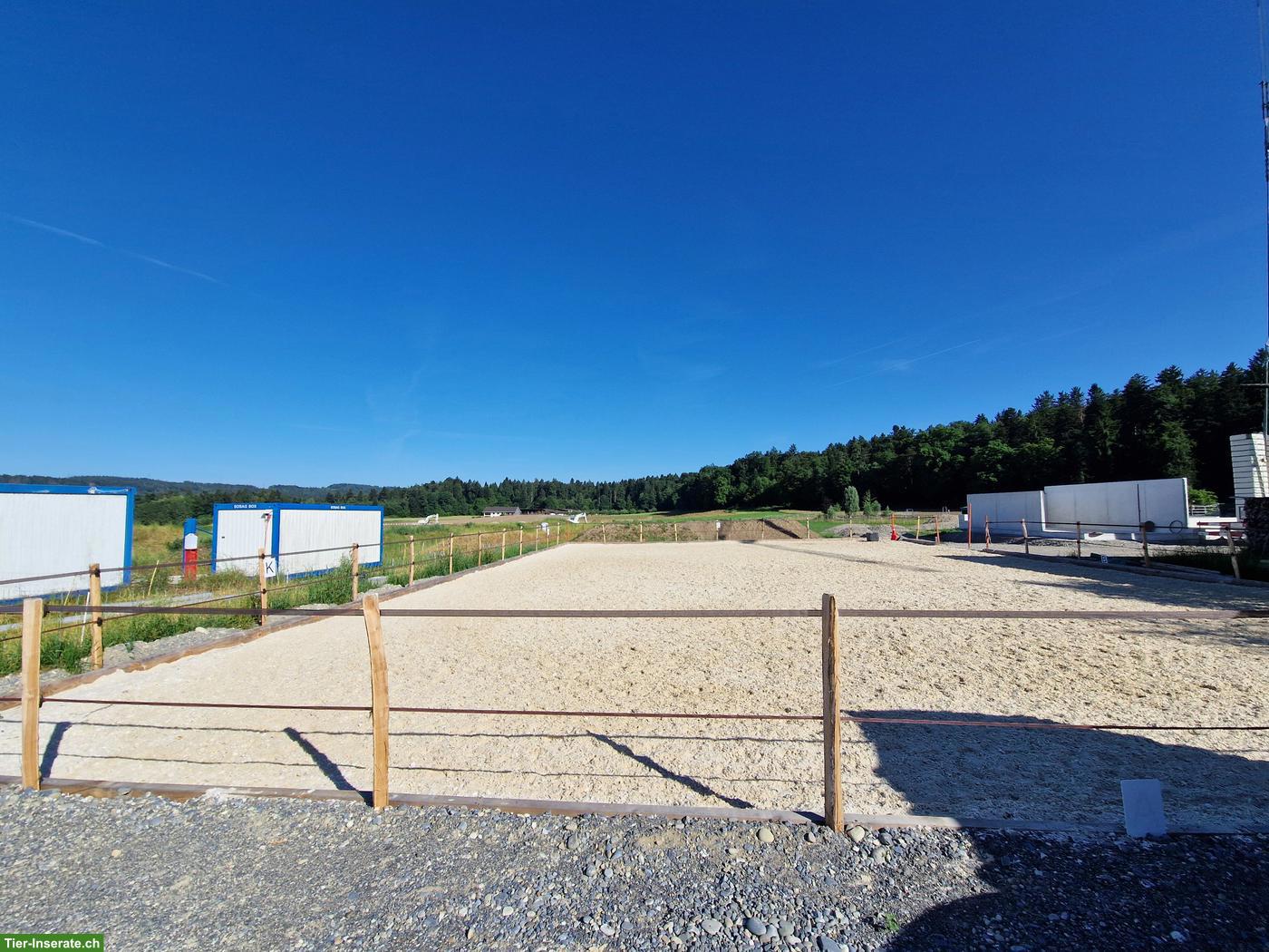 Bild 3: Platz frei im Offenstall Nähe Bremgarten AG