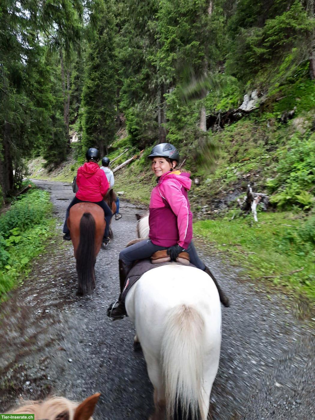 Reiterin mit Reitbrevet sucht Reitbeteiligung