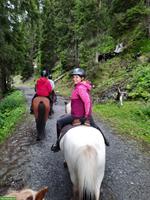 Reiterin mit Reitbrevet sucht Reitbeteiligung