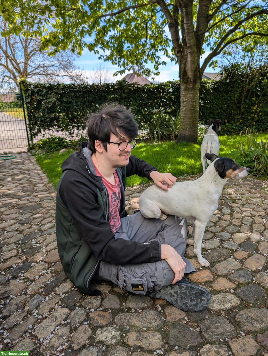 Flexibles Hundesitting in Oberbuchsiten SO