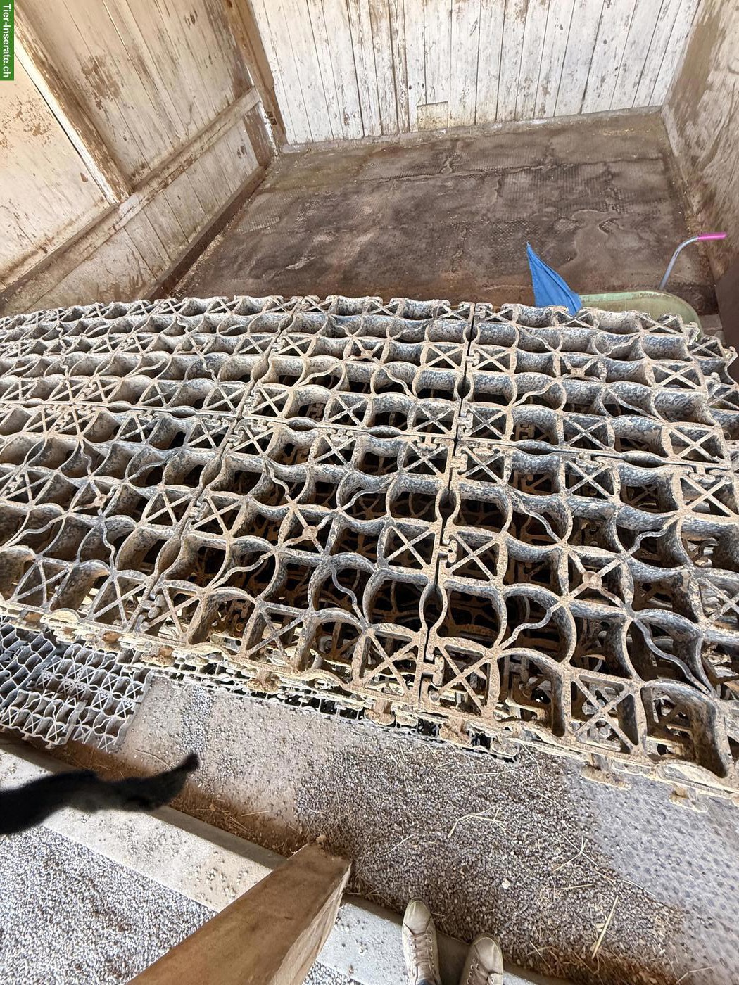 Bild 3: Occasion Ecoraster zu verkaufen