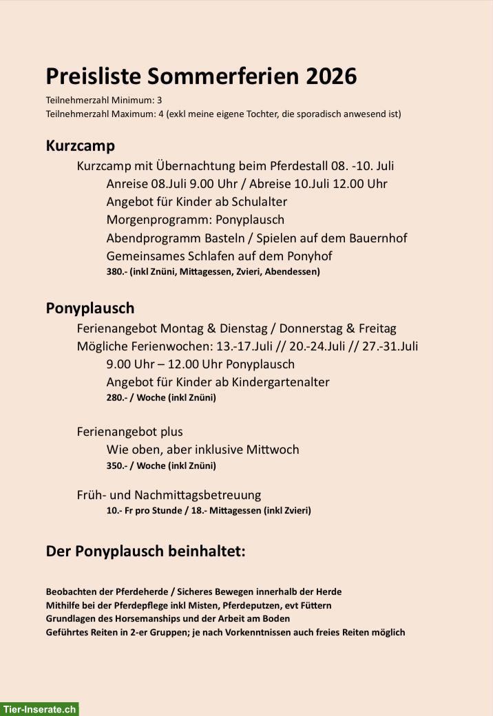 Bild 2: Ferienplausch und Reitunterricht für Kinder in Aargau