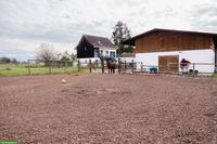 Befristete Pachtübernahme 3er Pferdestall, Oetwil am See