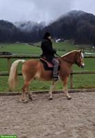Bewusst Reiten / Reiten mit Gefühl erlernen
