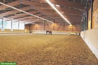 Pensionsplätze für Westernpferde in Melchnau BE