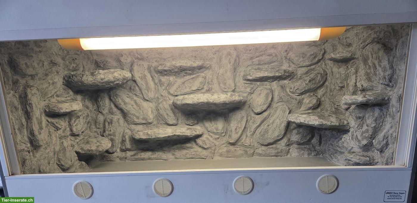 Kunststoffterrarium inkl. Felsenrückwand & Technik