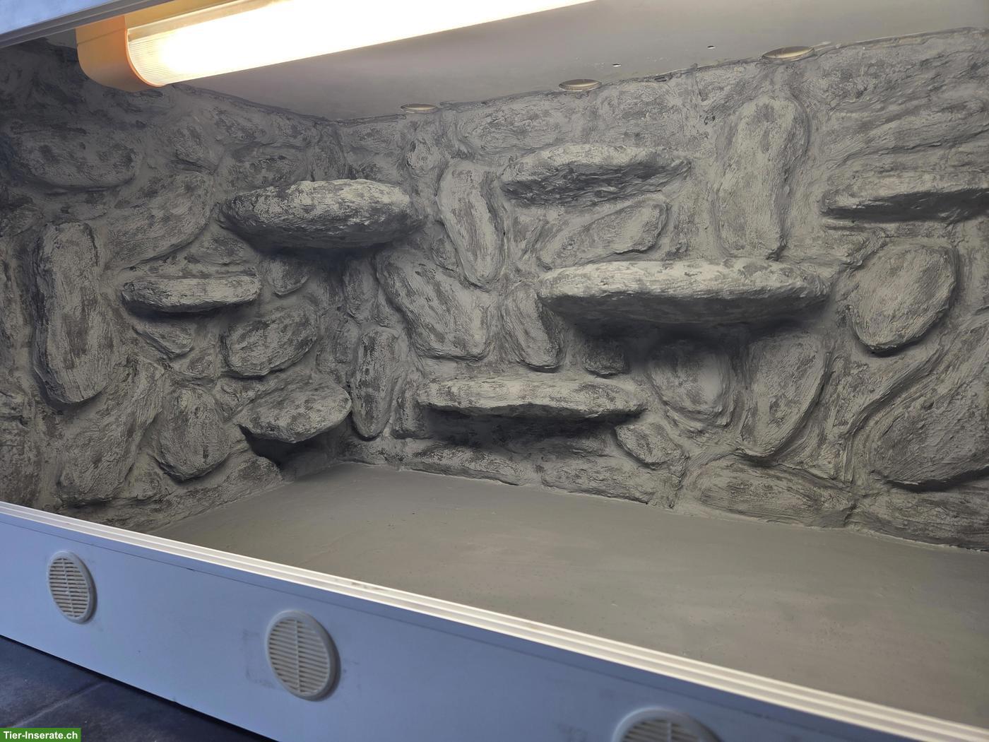 Bild 3: Kunststoffterrarium inkl. Felsenrückwand & Technik