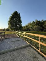 Offenstallplatz für Islandpferde mit Trail, Neukirch an der Thur