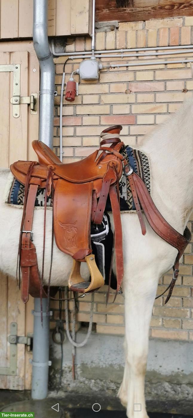 Westernarbeitsattel, top Zustand