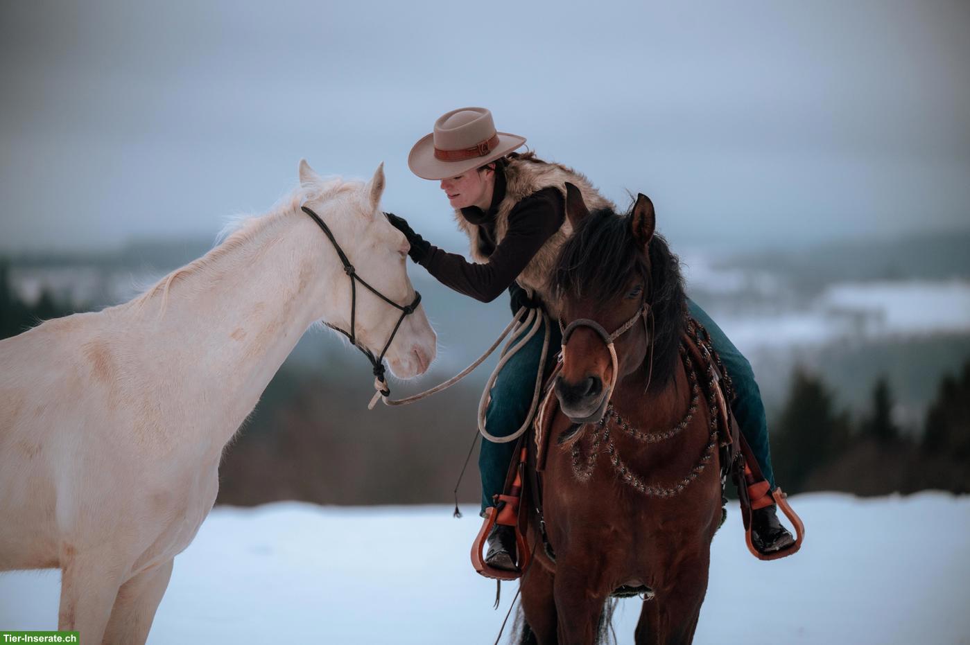 Bild 5: Super liebe Perlino Appaloosa x Lusitano Stute