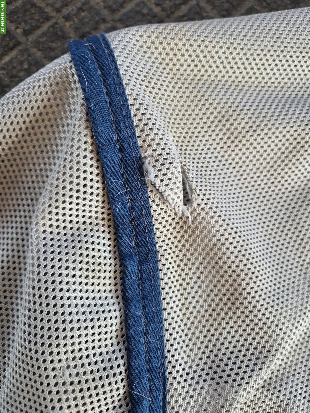 Bild 4: AMIGO Fliegendecke Gr. 160 zu verkaufen