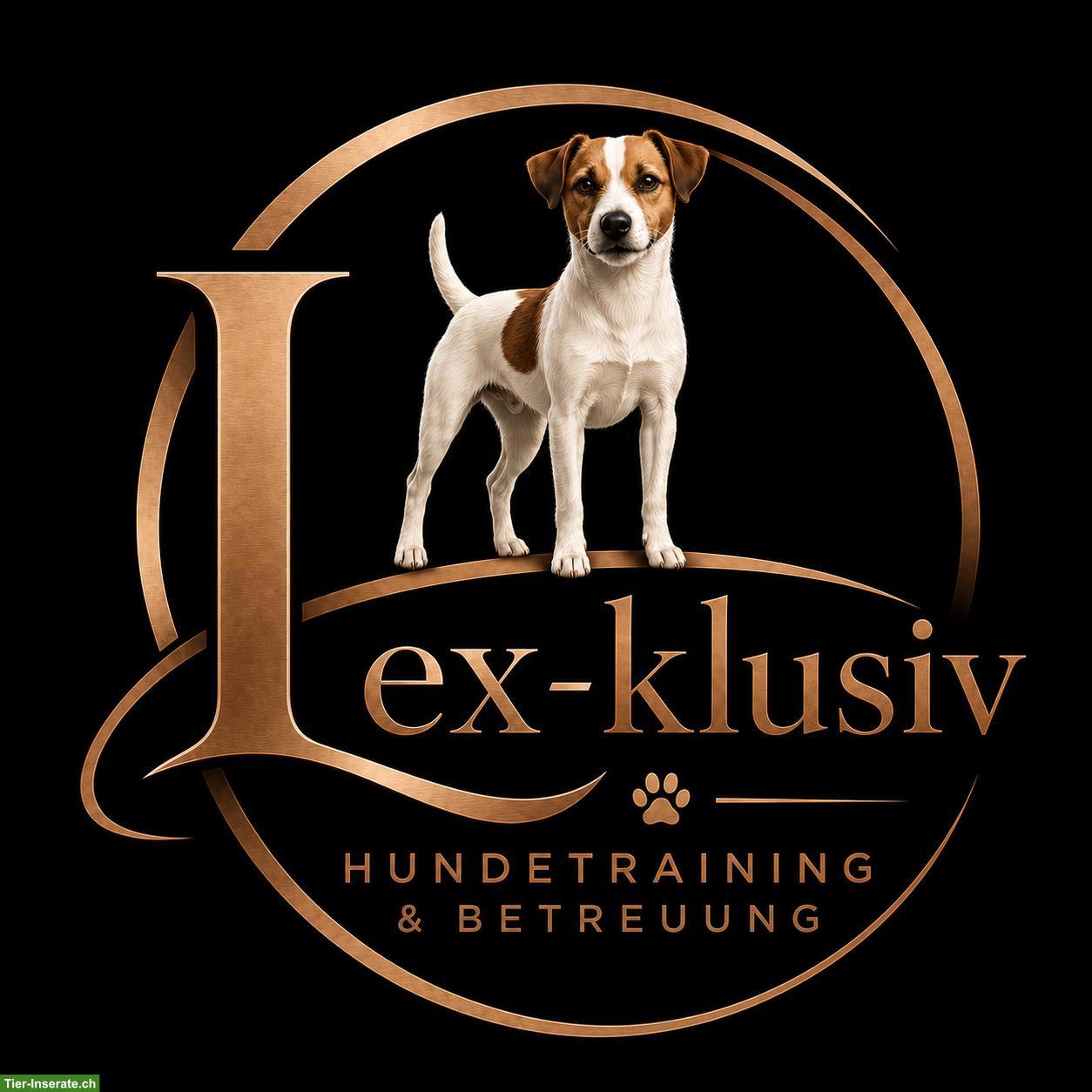 Freie Hunde-Trainingsplätze: Erziehung, Sport und Plausch