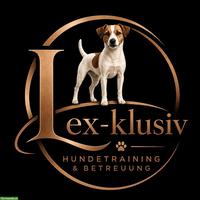Freie Hunde-Trainingsplätze: Erziehung, Sport und Plausch