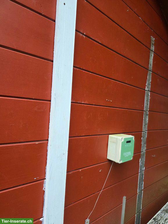 Bild 2: GRATIS: Hühnerstall mit automatischem Türöffner