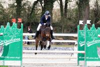 Suche Reitbeteiligung auf einem Sportpferd