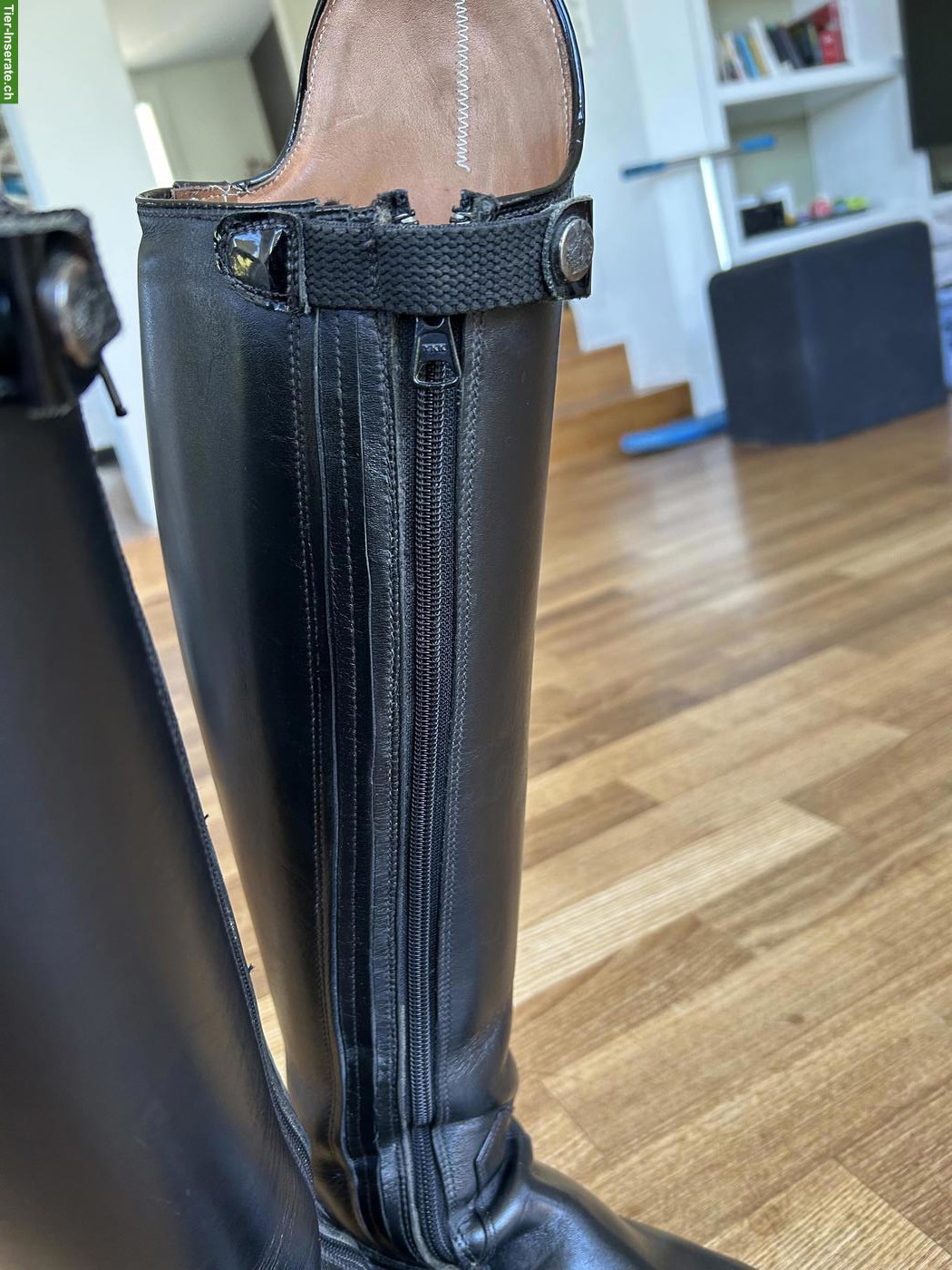 Bild 3: Königs Dressurstiefel Gr. 39, Top-Zustand
