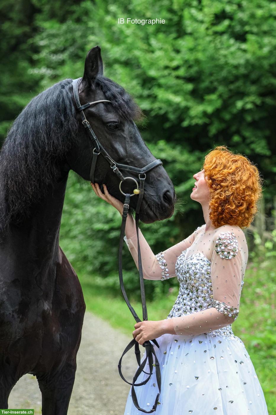Bild 5: Suche Reitbeteiligung für meine Friesen Stute Tara