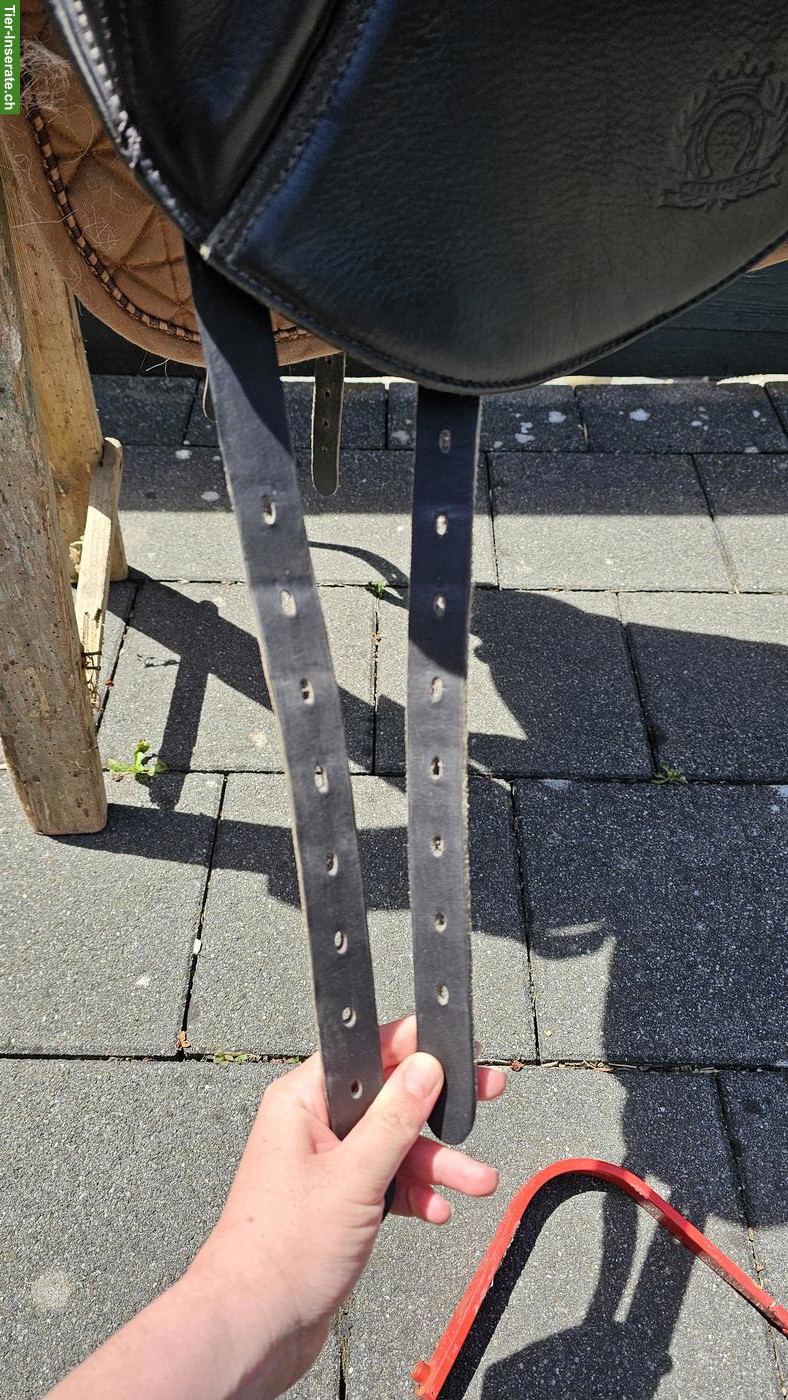 Bild 2: Dressursattel Eques Champion 17.5 Zoll