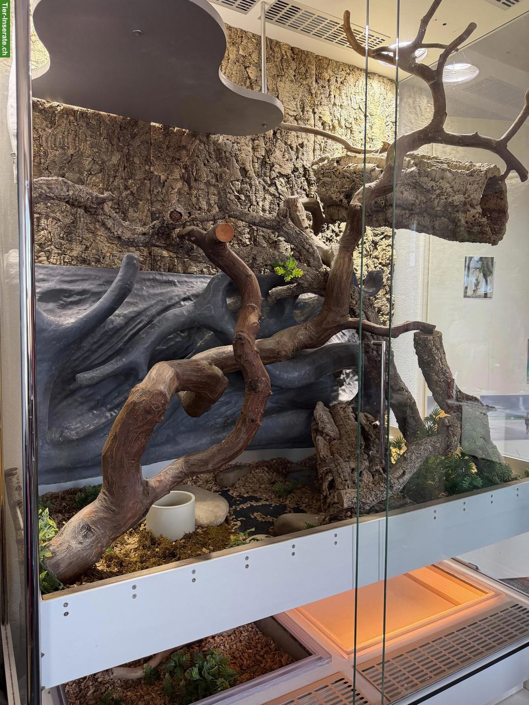 Grosses Glasterrarium für Reptilien zu verkaufen