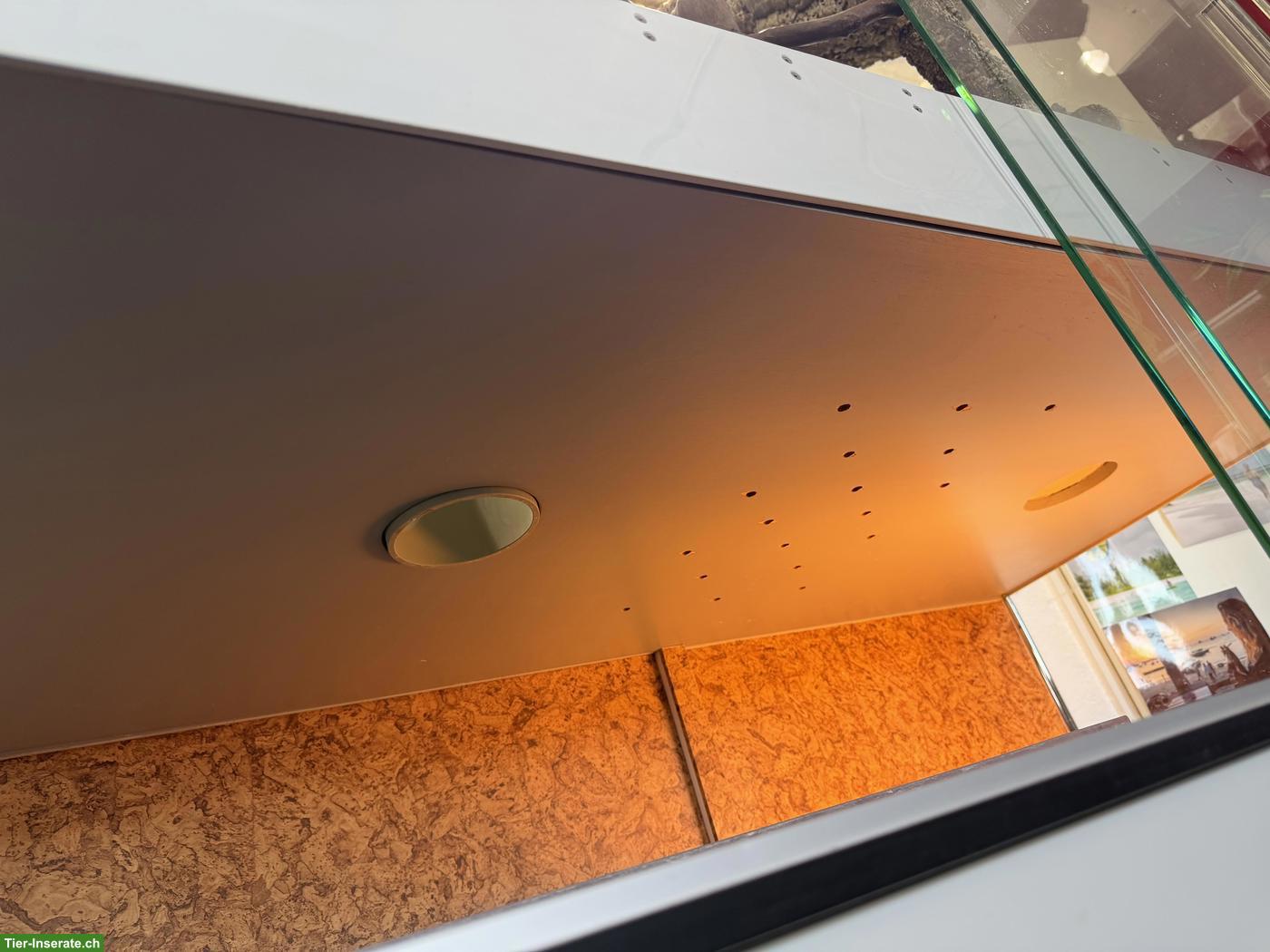 Bild 3: Grosses Glasterrarium für Reptilien zu verkaufen