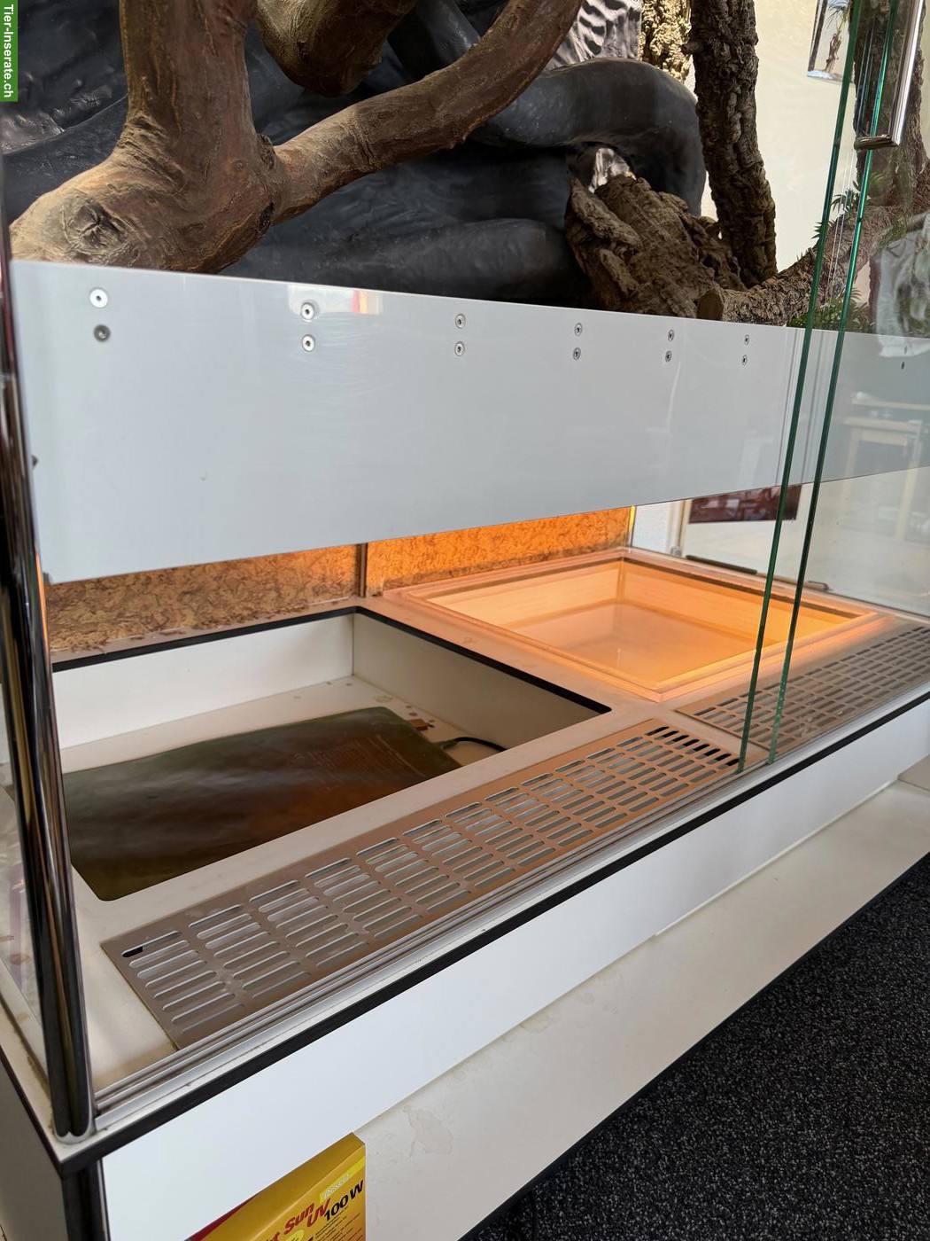 Bild 5: Grosses Glasterrarium für Reptilien zu verkaufen