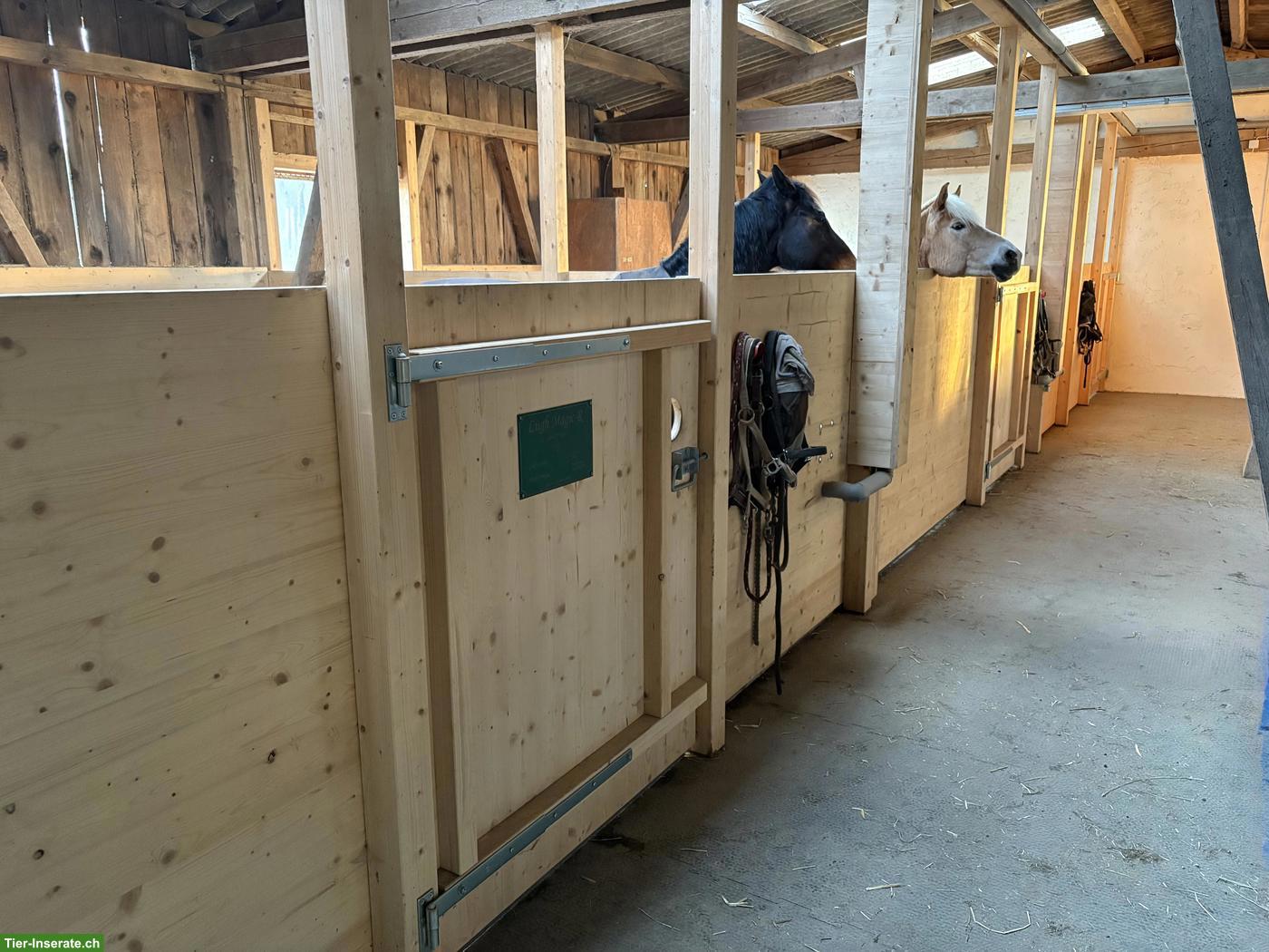 Bild 7: Auslaufboxe, Zweier Offenstall Ponys