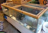 Grosses Glasterrarium zu verkaufen