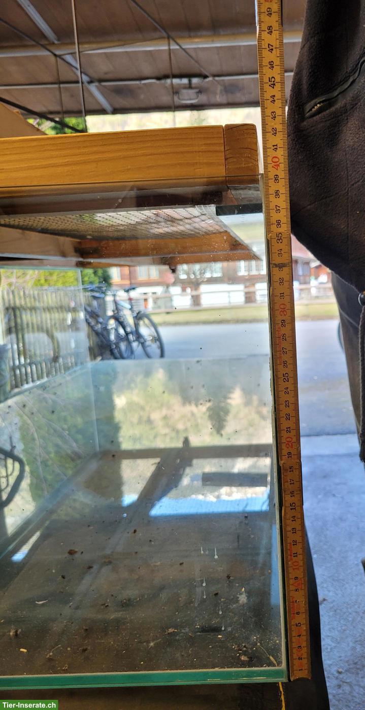 Bild 2: Grosses Glasterrarium zu verkaufen