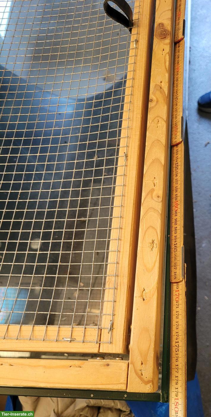 Bild 3: Grosses Glasterrarium zu verkaufen