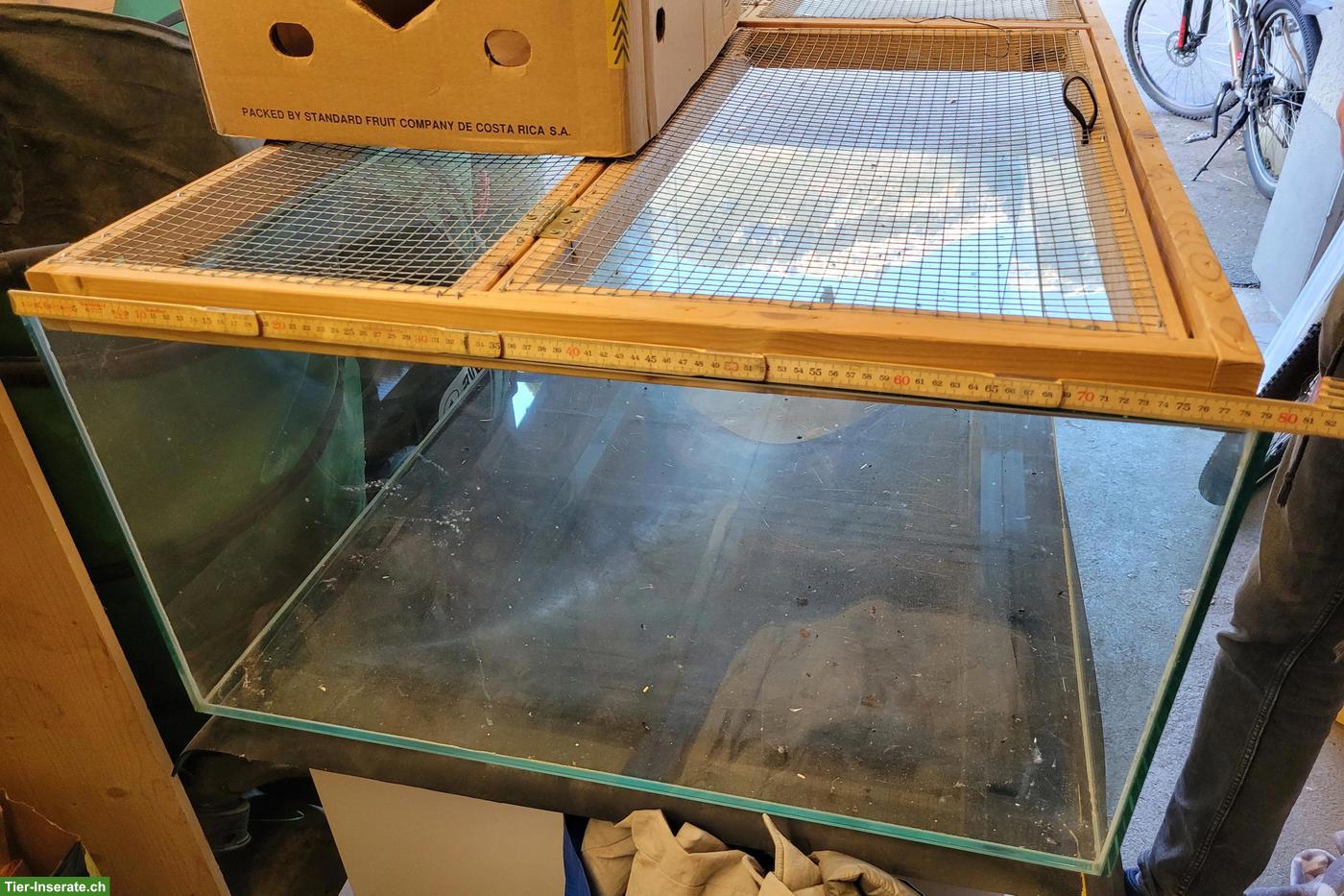 Bild 4: Grosses Glasterrarium zu verkaufen