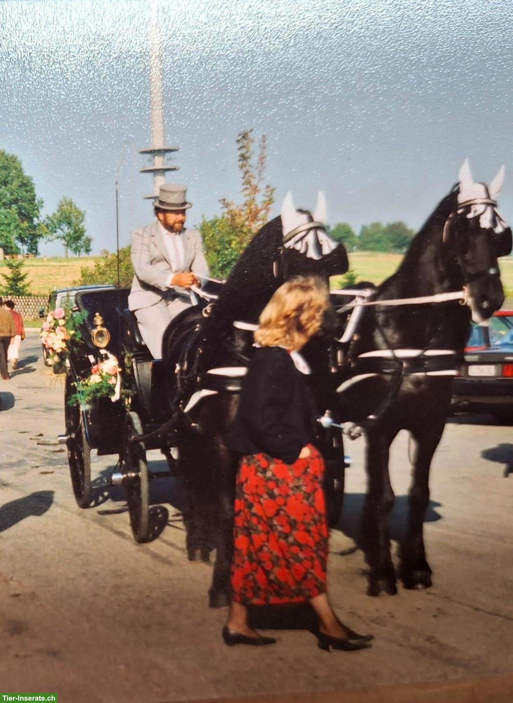 Historische Viktoria-Kutsche, restauriert, fahrbereit