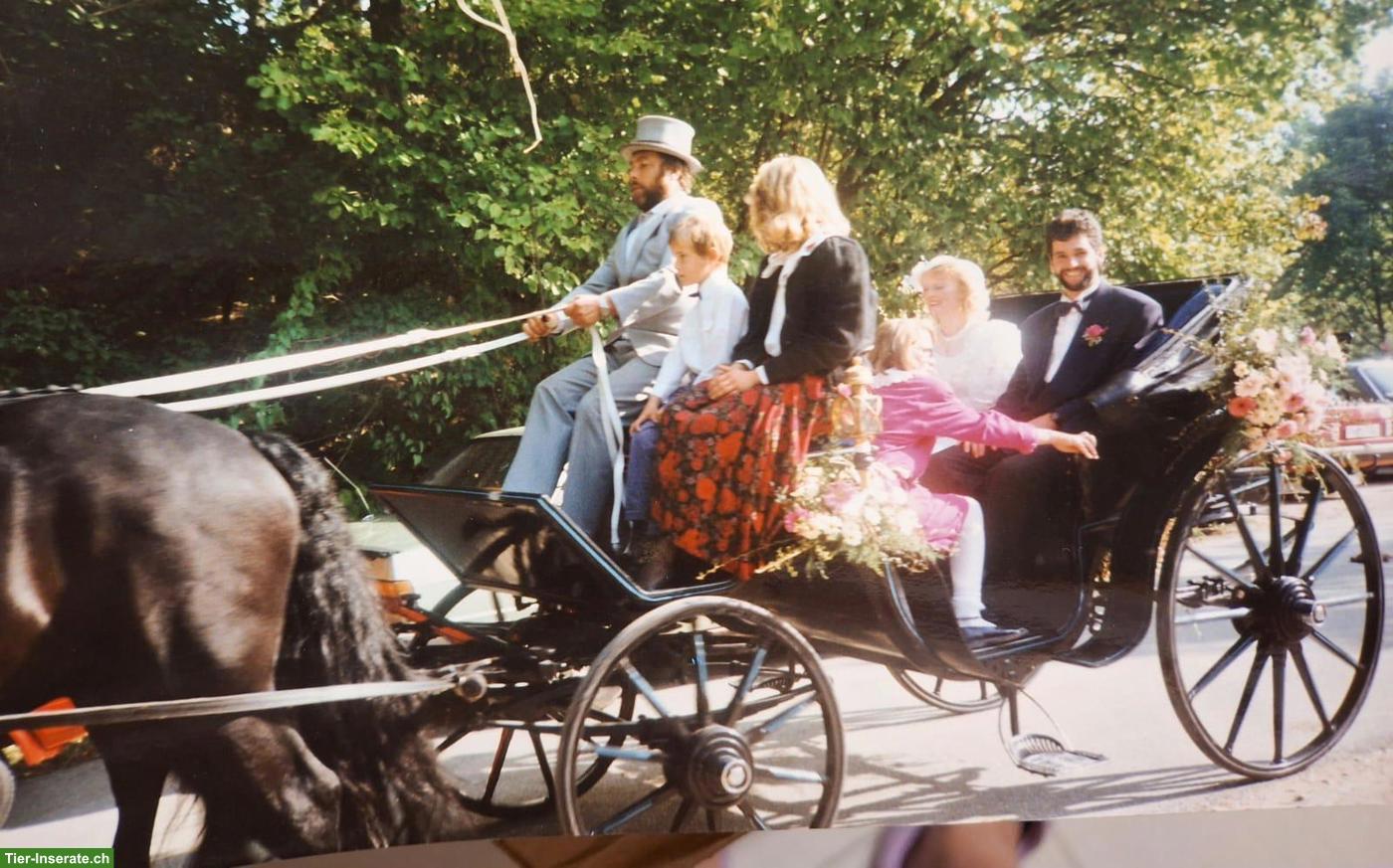 Bild 2: Historische Viktoria-Kutsche, restauriert, fahrbereit