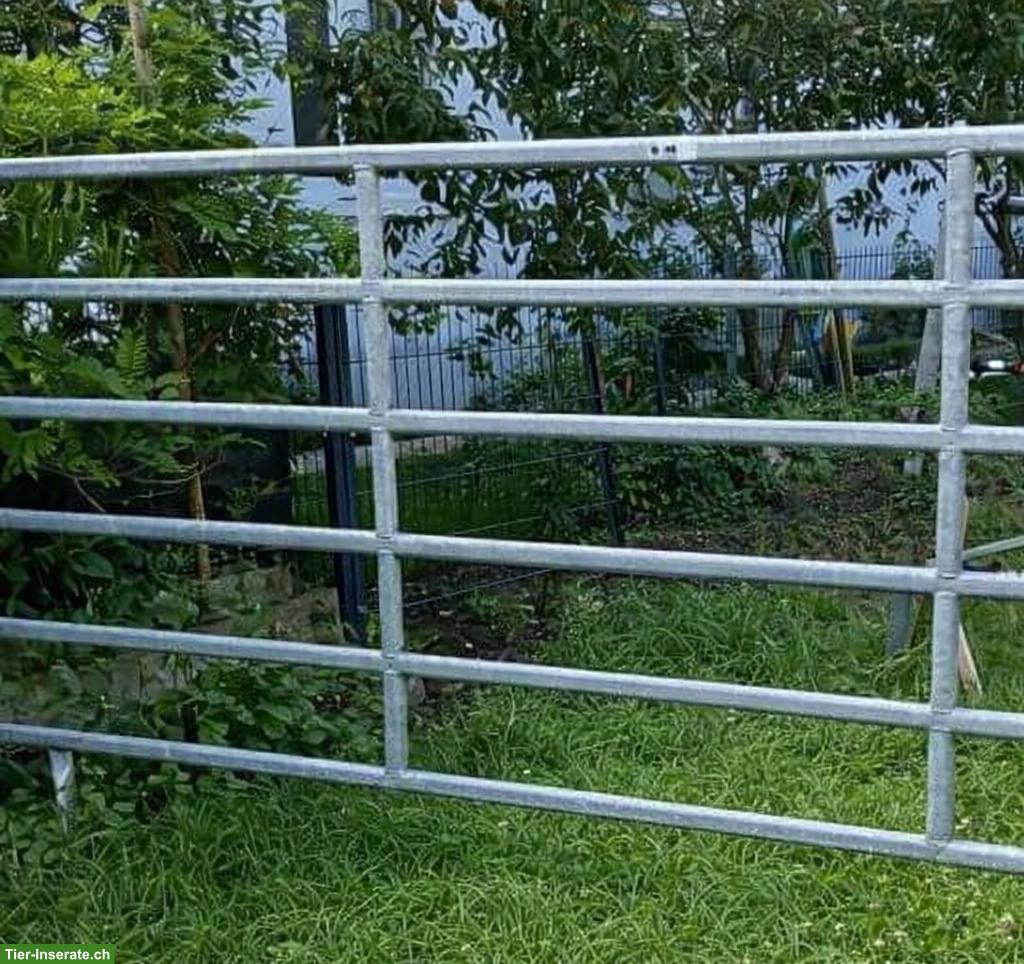Panels in verschiedenen Längen mit/ohne Türen
