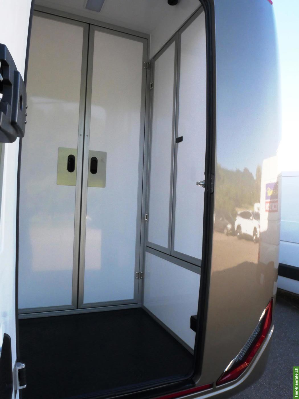 Bild 4: FORD Sodiak Pferdetransporter Selbstfahrer