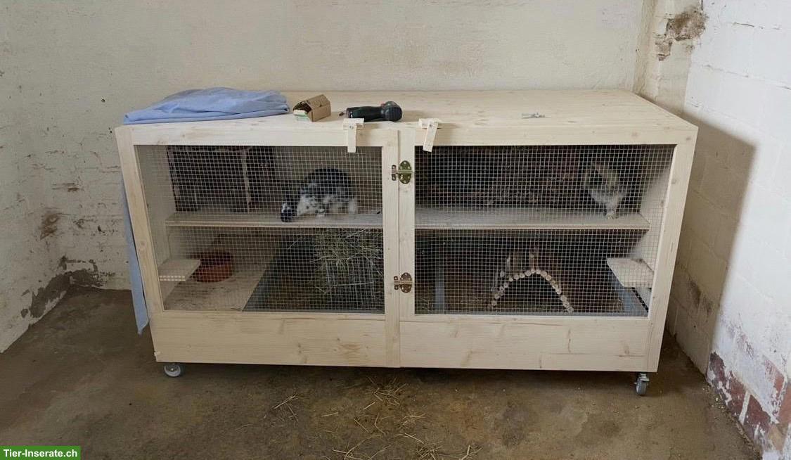 Stall für Zwergkaninchen, Meerschweinchen und andere Nager