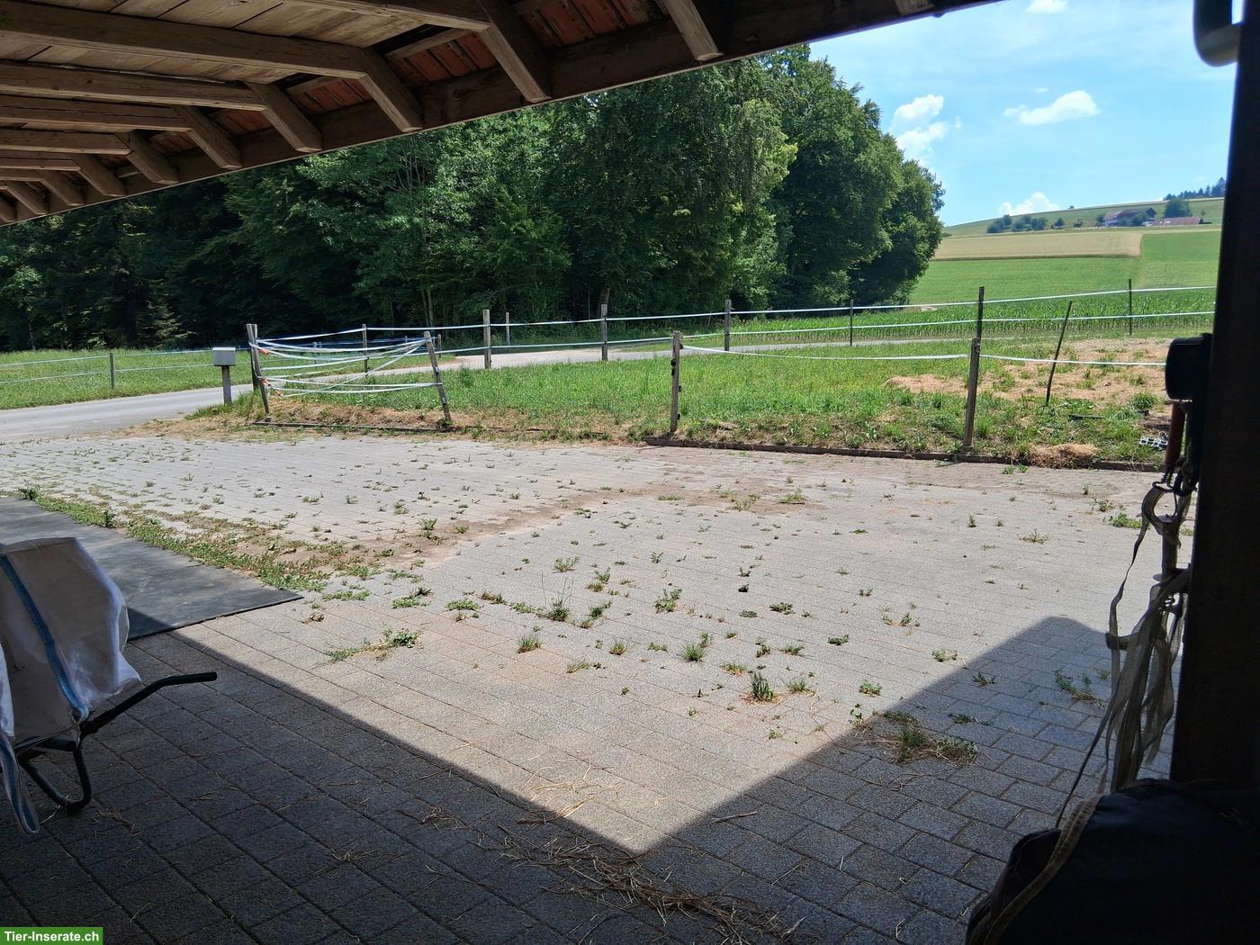 Selbstversorgerstall in Murgenthal (AG) zu vermieten
