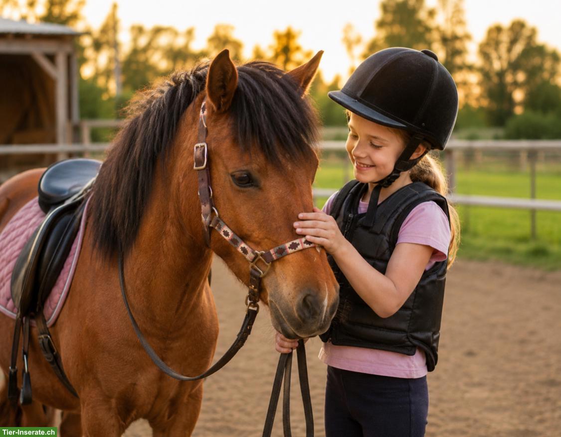Bieten Ferien-Reitstunden auf dem Pony im Thurgau