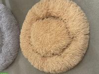 Hundebetten, gross & klein, zu verkaufen
