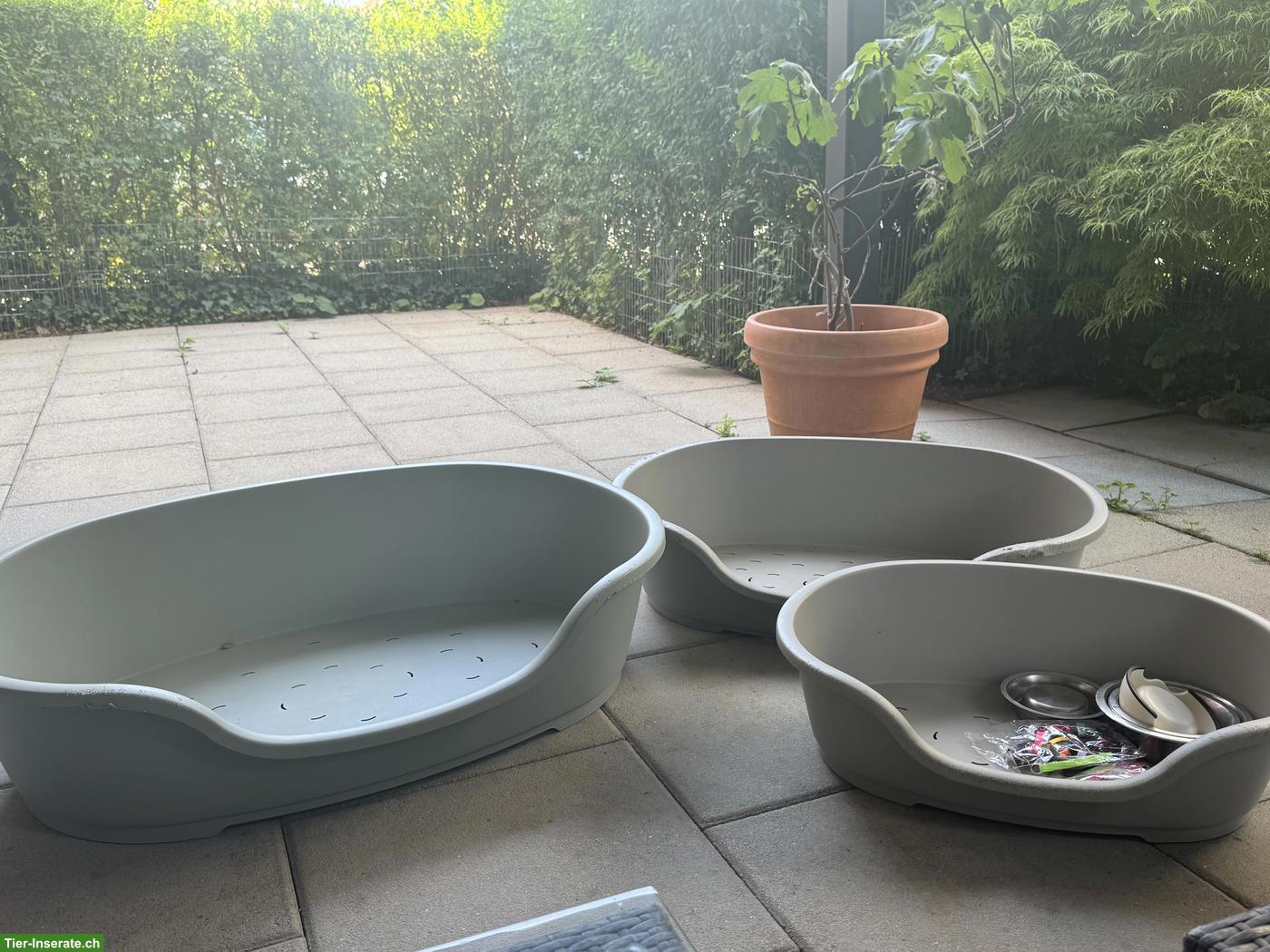 Bild 3: Hundebetten, gross & klein, zu verkaufen