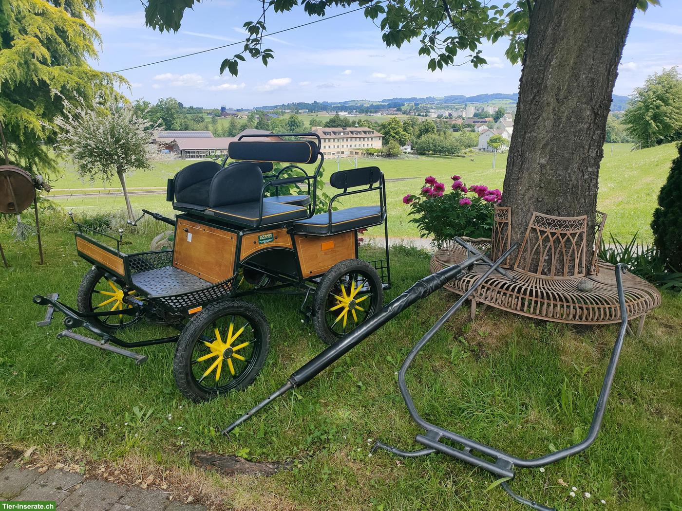 Shetty-Kutsche, 1- und 2-spännig fahrbar zu verkaufen
