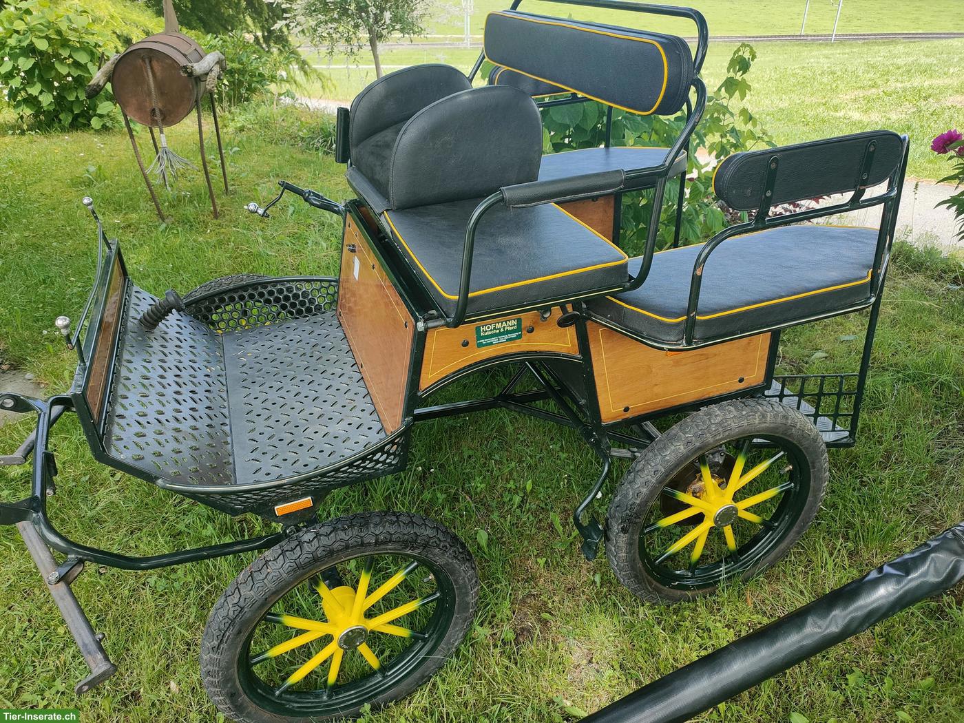 Bild 3: Shetty-Kutsche, 1- und 2-spännig fahrbar zu verkaufen