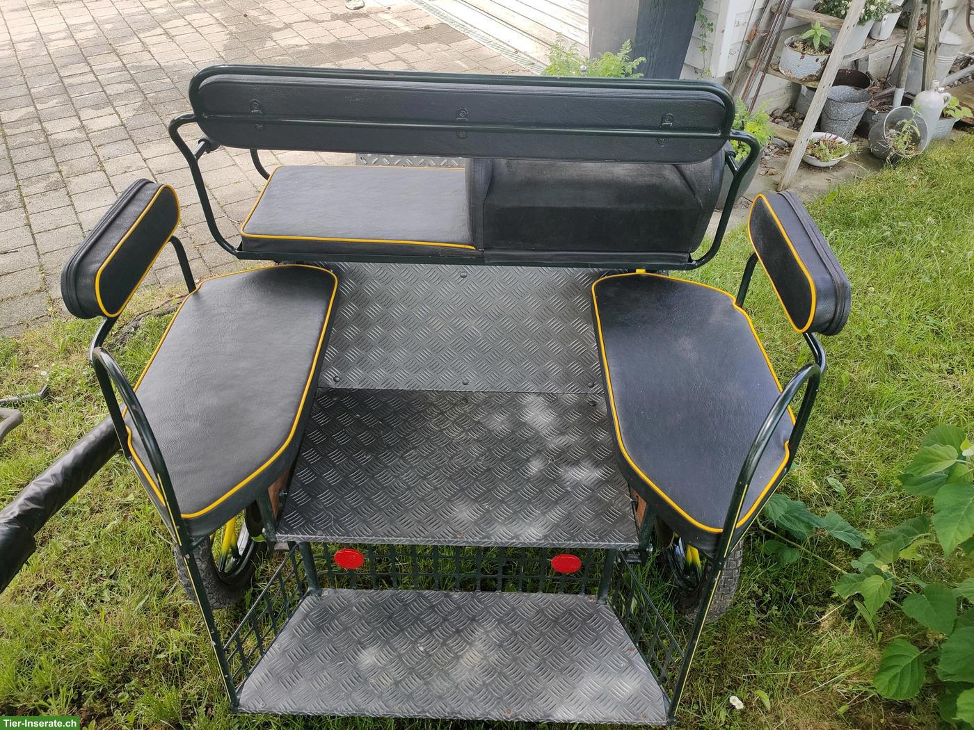 Bild 4: Shetty-Kutsche, 1- und 2-spännig fahrbar zu verkaufen