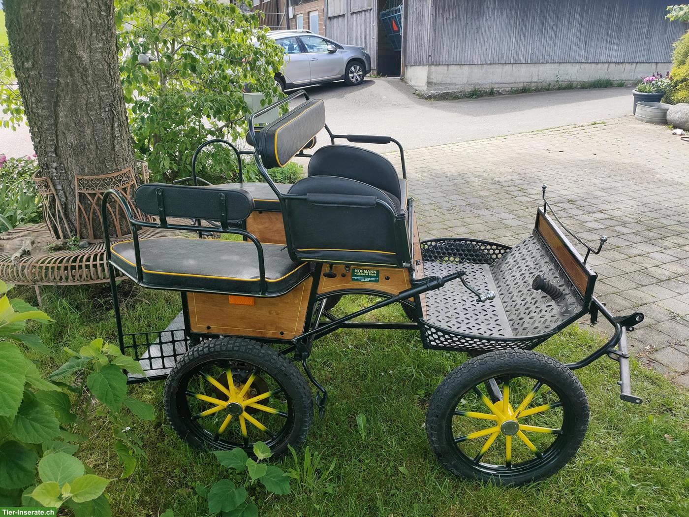 Bild 5: Shetty-Kutsche, 1- und 2-spännig fahrbar zu verkaufen