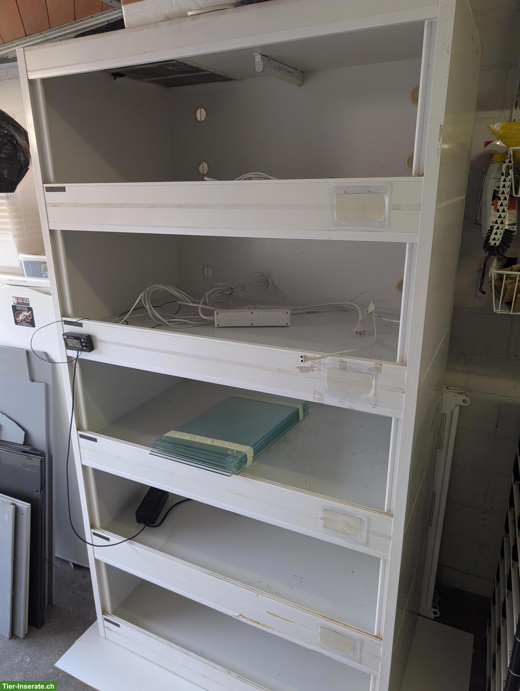 Forex Lanzo Herp Tower & LP Racks abzugeben