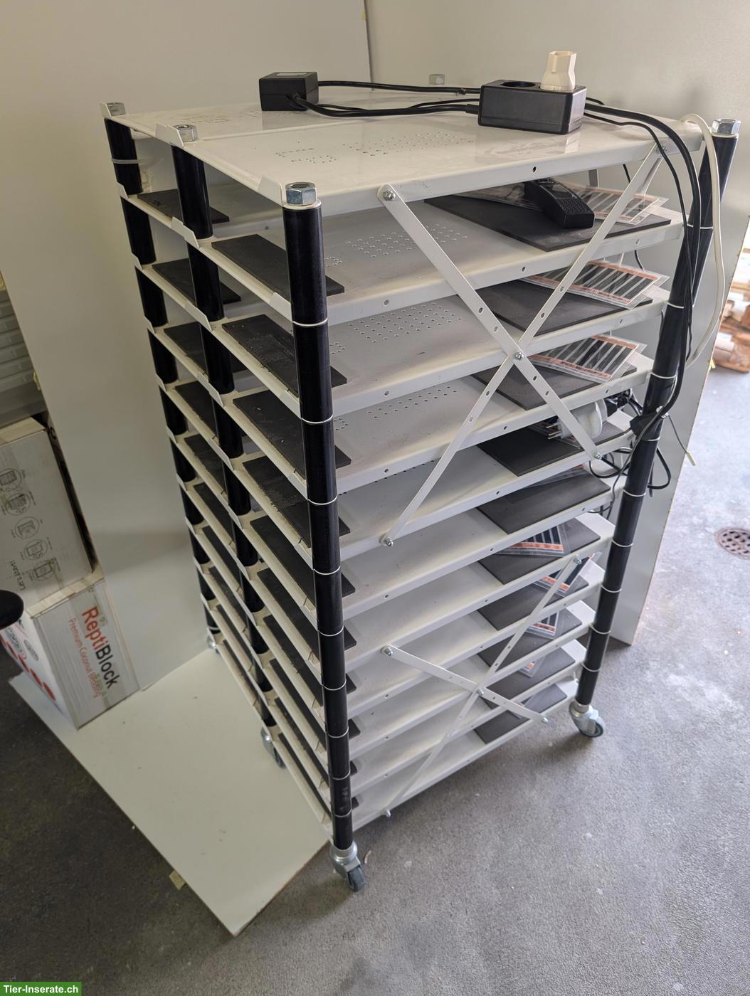 Bild 3: Forex Lanzo Herp Tower & LP Racks abzugeben