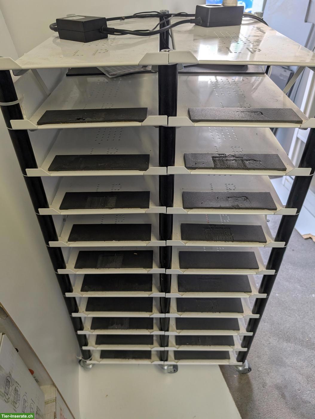 Bild 4: Forex Lanzo Herp Tower & LP Racks abzugeben