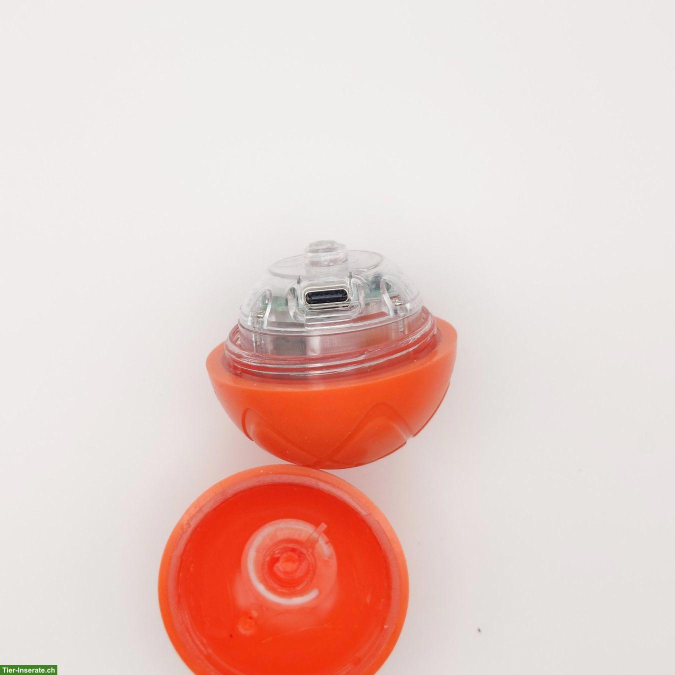 Bild 3: Smart Bouncing Ball, interaktiv für Hund & Katze, Orange & Blau, NEU