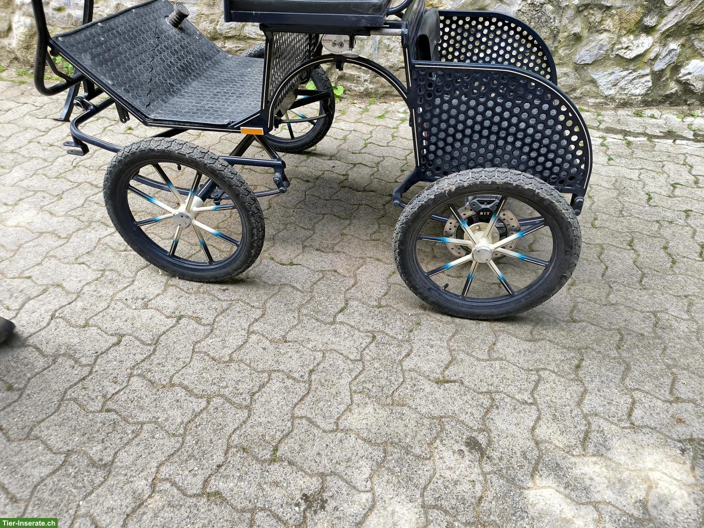 Bild 2: Shetty-Kutsche, ein- und zweispännig