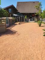 Offenstallplatz für Pony-Wallach in Waldhäusern AG