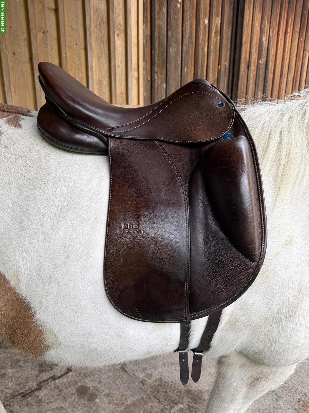 Stübben Sattel Genesis CL 17.5 Zoll zu verkaufen